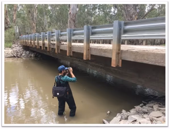 Bridge Inspection camera