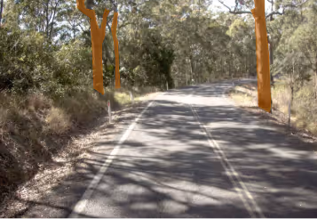 A road with trees on the sideDescription automatically generated with medium confidence