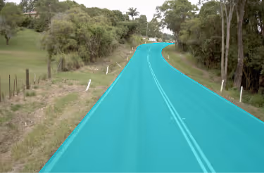 A picture containing tree, grass, outdoor, wayDescription automatically generated