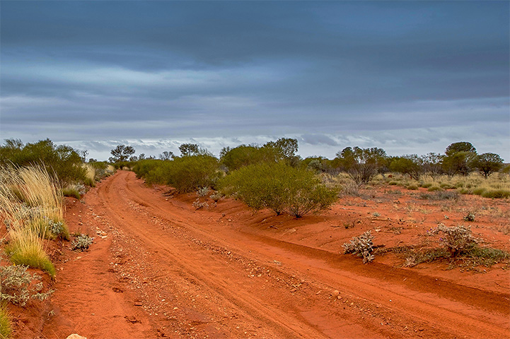 A red dirt unsealed road in Australia's outback.