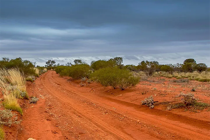 A red dirt unsealed road in Australia's outback.