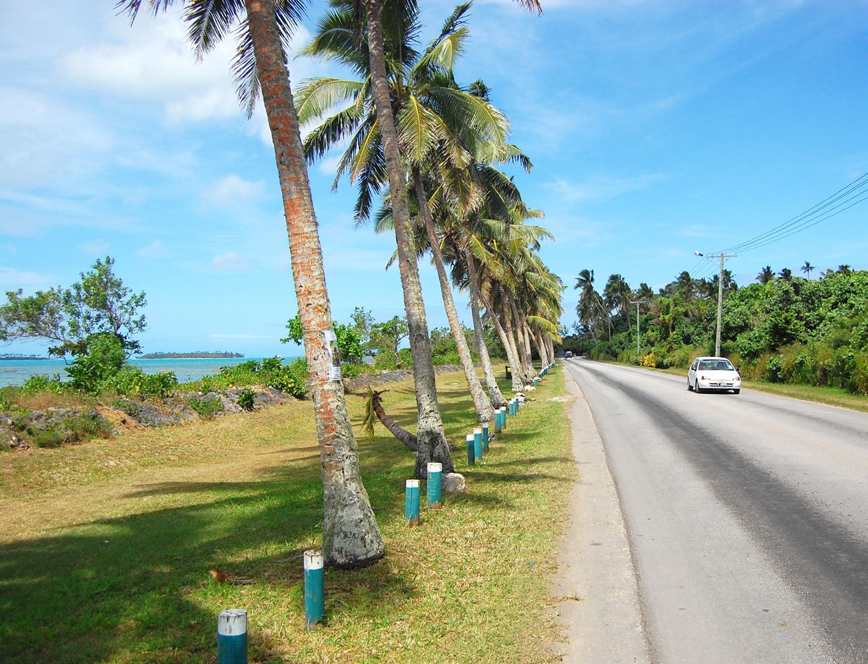 Road in Tonga with palm tree.