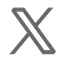 Share on X (former Twitter) link