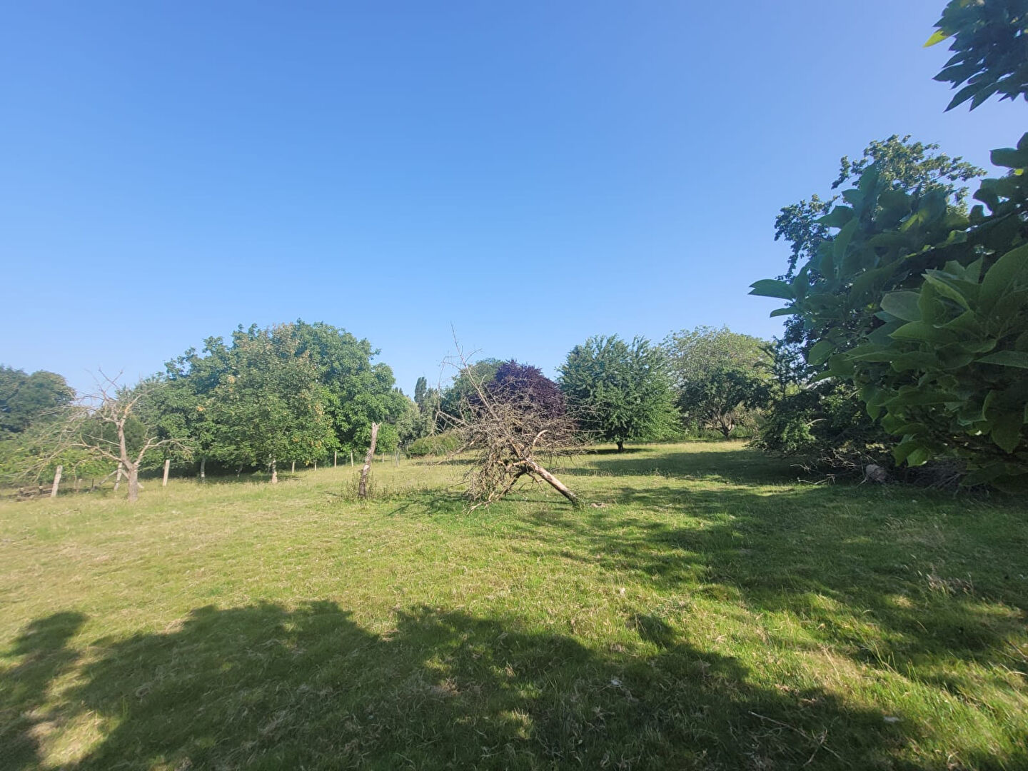 Image 10 de la galerie