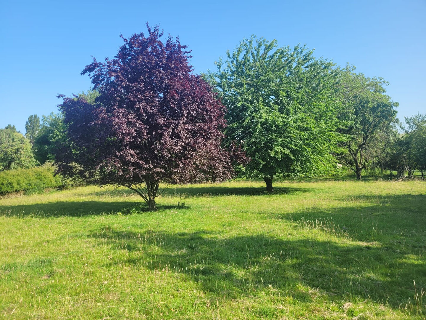 Image 9 de la galerie