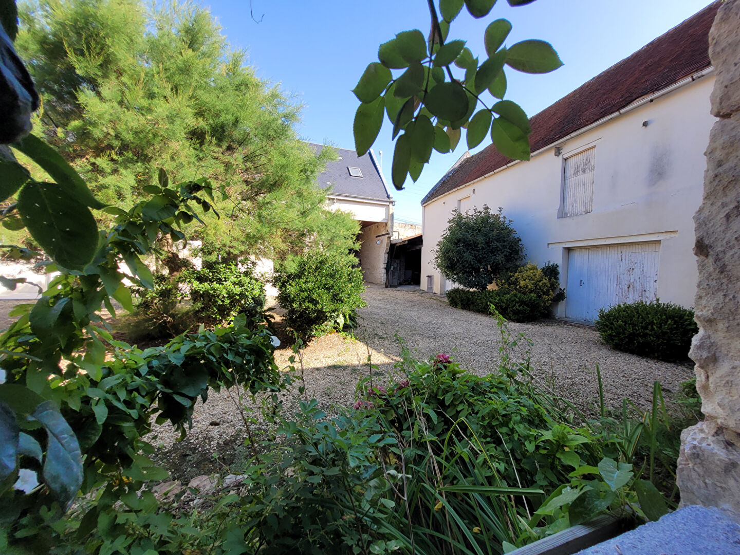 Image 5 de la galerie