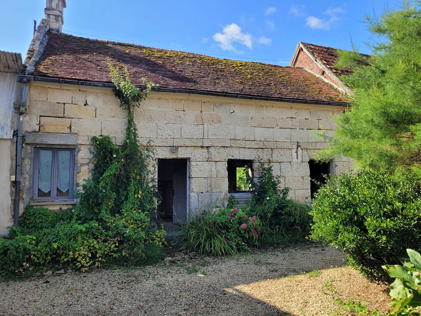 Image 7 de la galerie