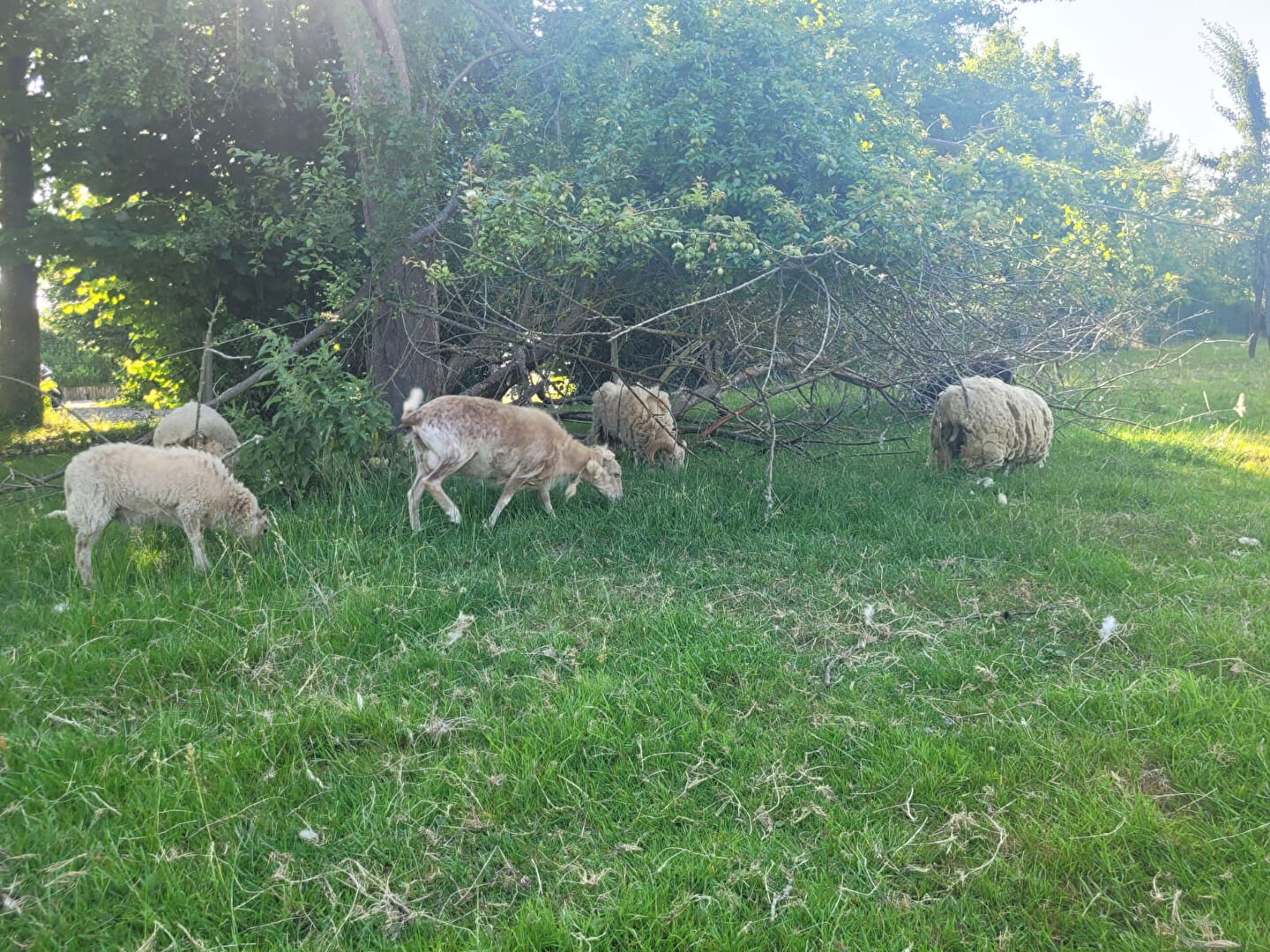 Image 11 de la galerie