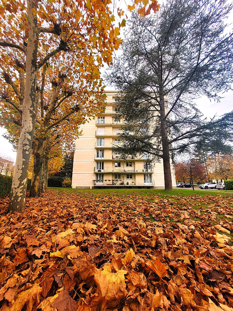 Image 10 de la galerie