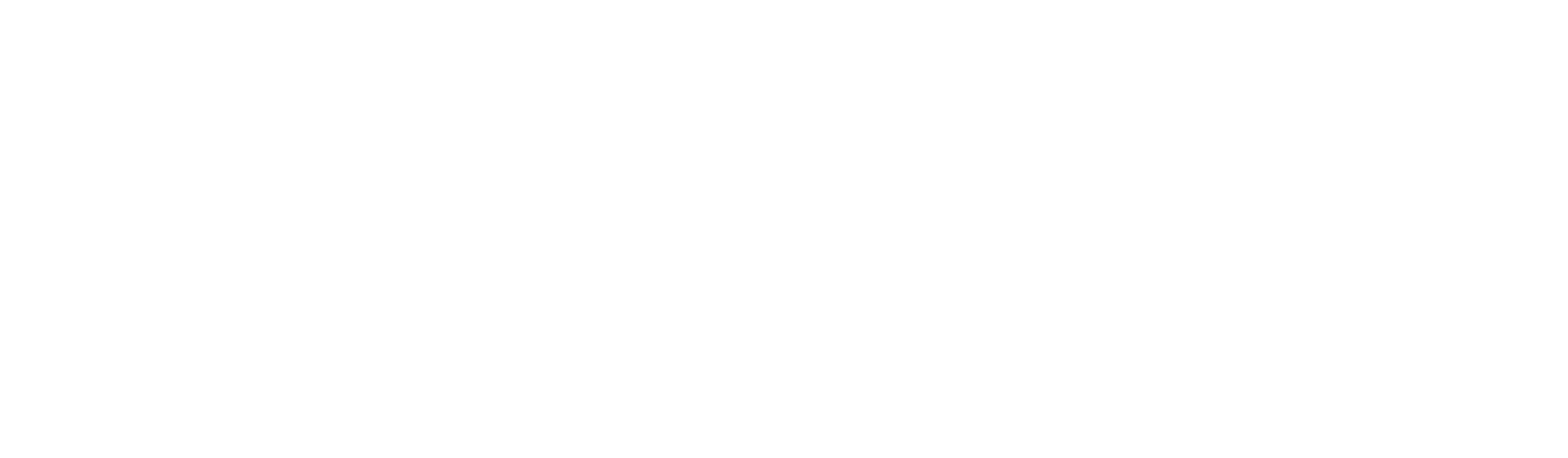 petsnova Group Logo