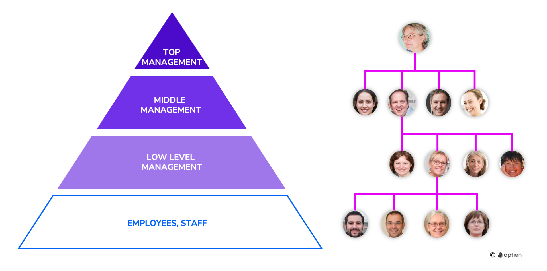 What are Levels of Management? | Medium Business Management | Aptien