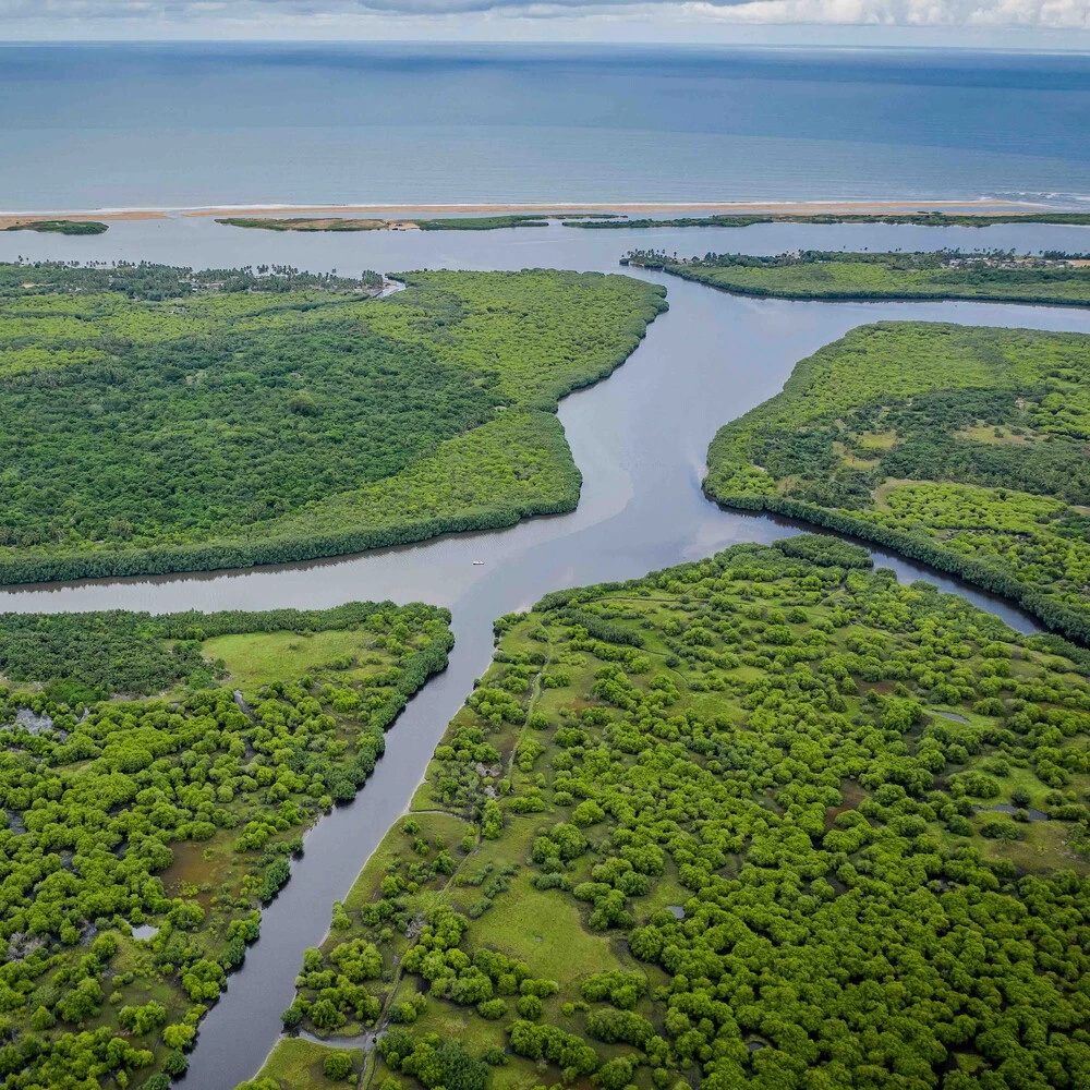 Mangrove restoration at Bouche du Roy, Benin, to enhance local livelihoods and support conservation