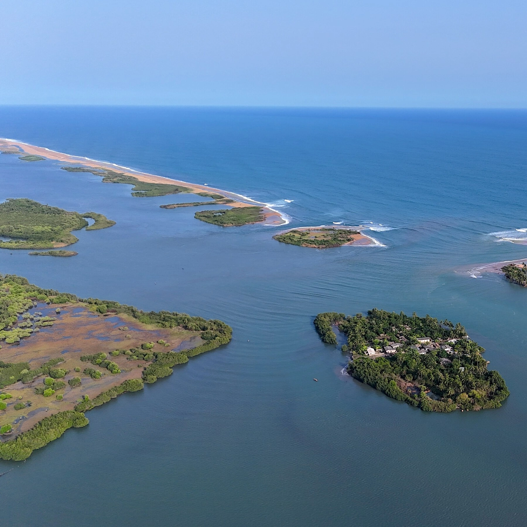 Ecobenin impact nature image