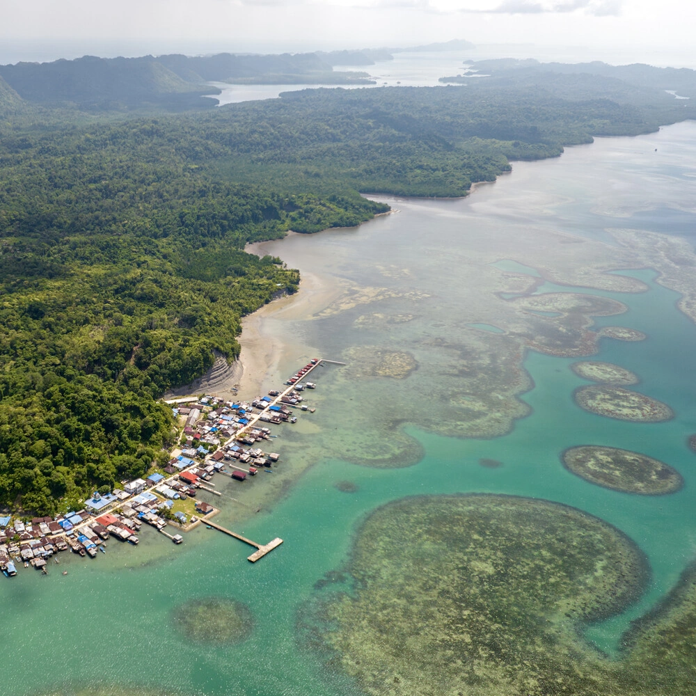 Financing mangrove and seagrass protection for marine ecosystems on Misool Island, Indonesia