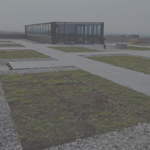 Realizace SUEZ – zelená střecha