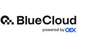 BlueCloud Interactive