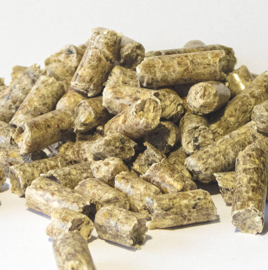 Träpellets för bioenergi och uppvärmning
