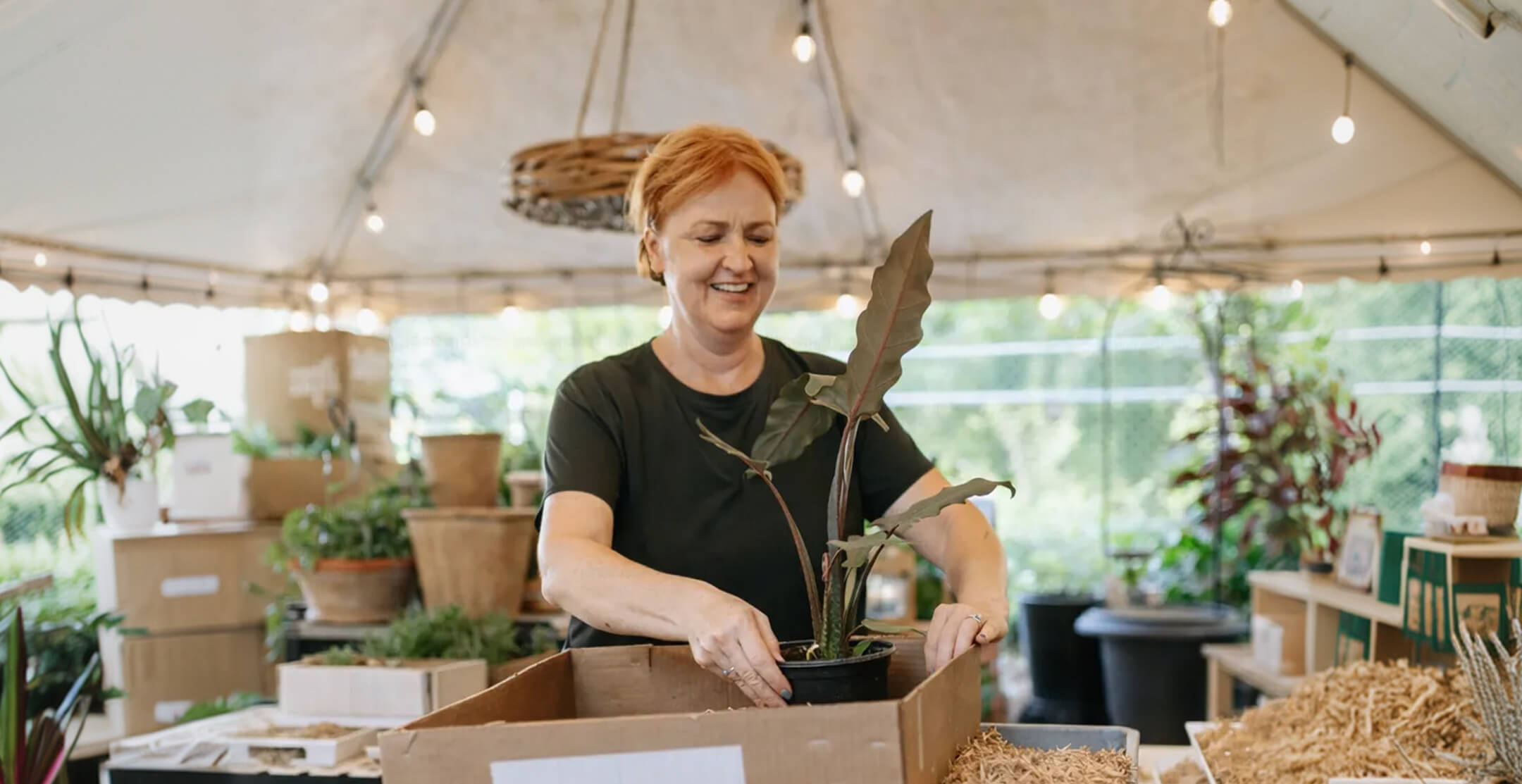Butik med odling, växter och service