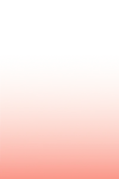 Project V1 BG
