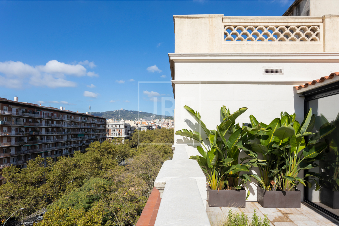 Gaudí's Gaze - Photo 5 | JRE Global Properties