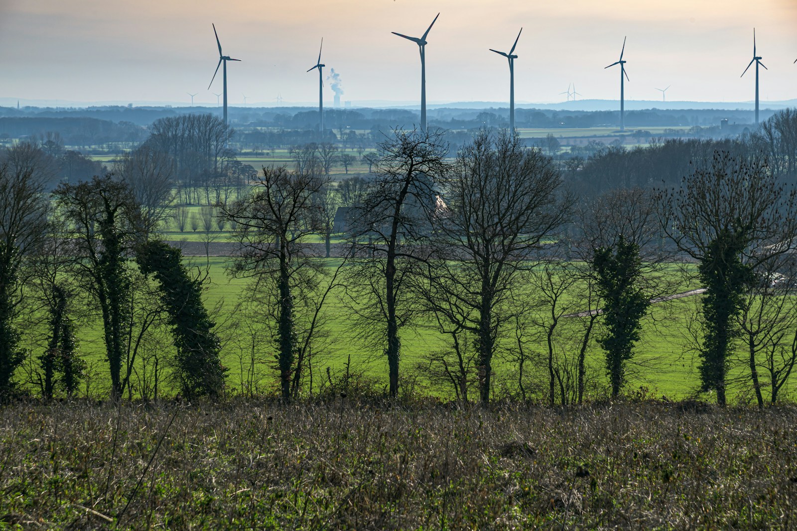 Wind turbines across a green rural landscape