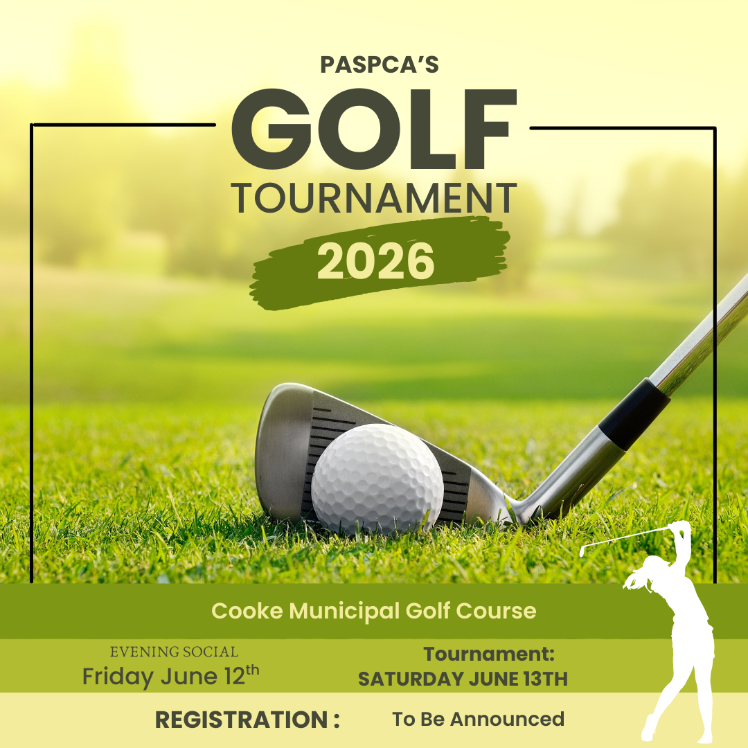 PASPA's Golf Tournament