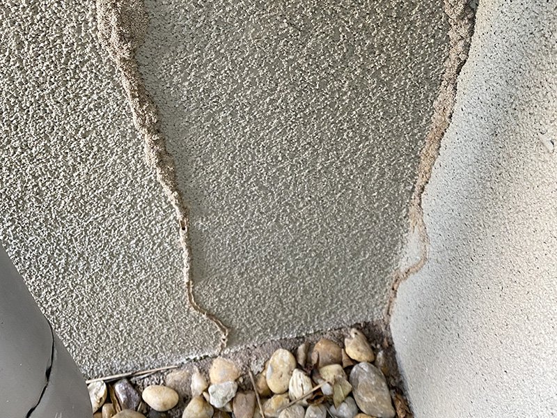 termite mud tubes