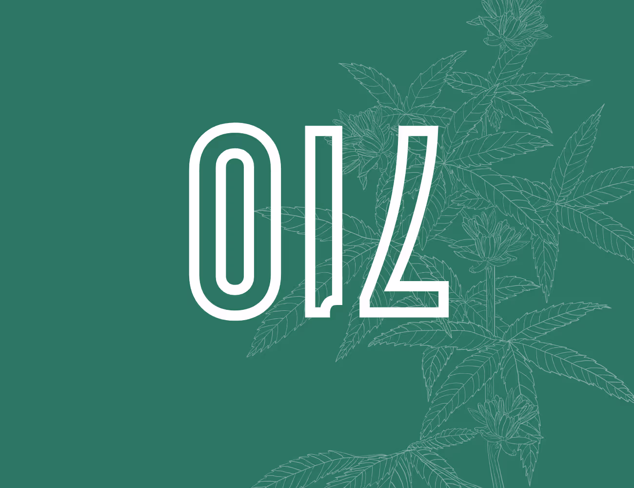 Minimalist 710 Day graphic featuring large white "OIL" lettering on a teal background, with delicate line-art illustrations of cannabis leaves and flowering buds along the right side, symbolizing cannabis concentrates and 710 Day.