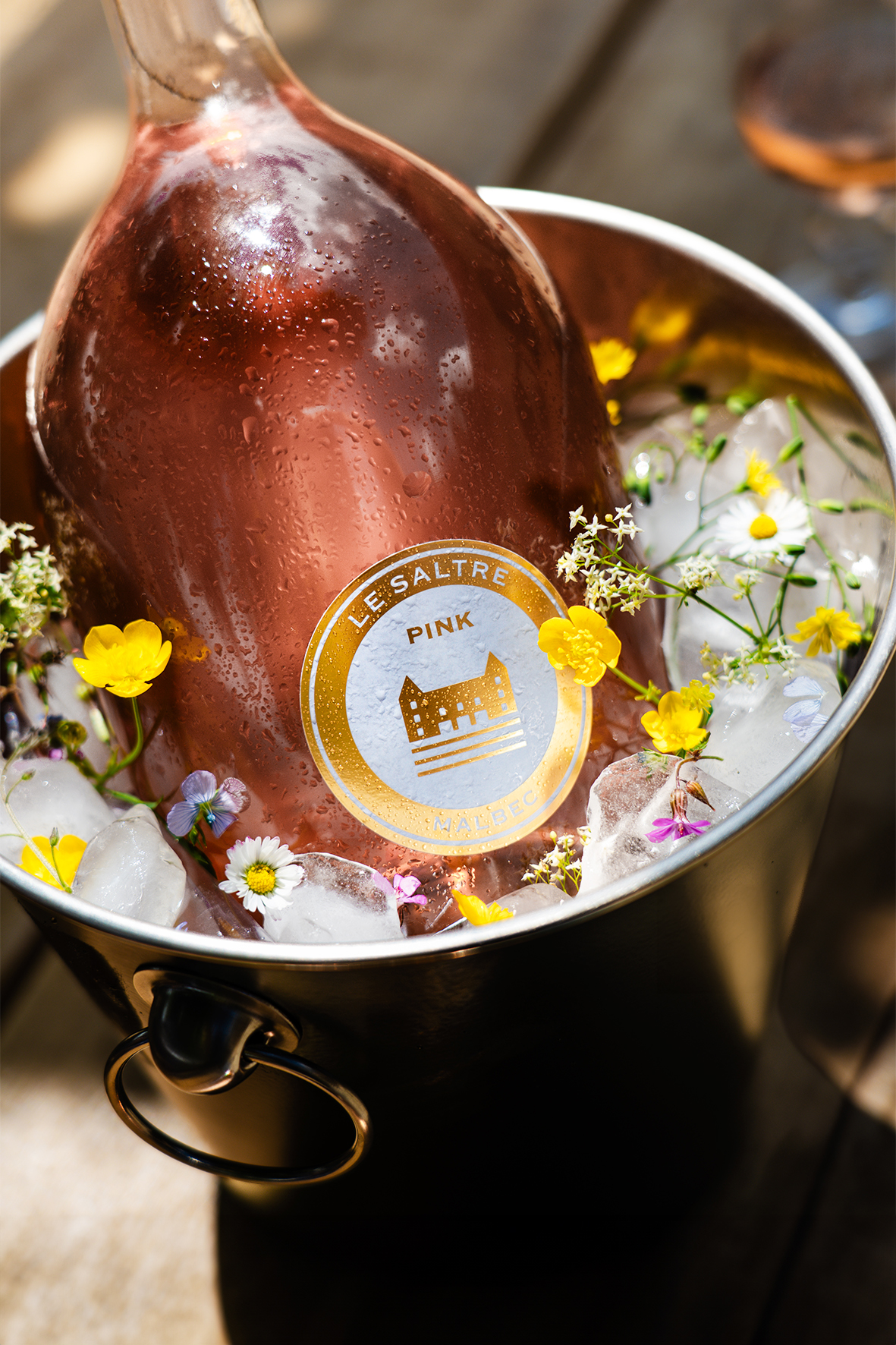 Chateau Camp Del Saltre