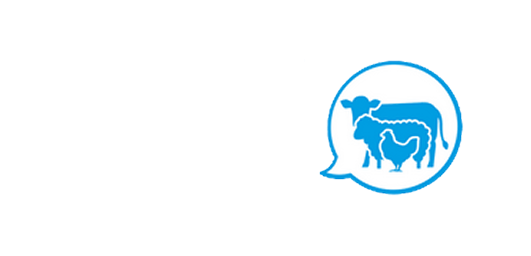 Widam