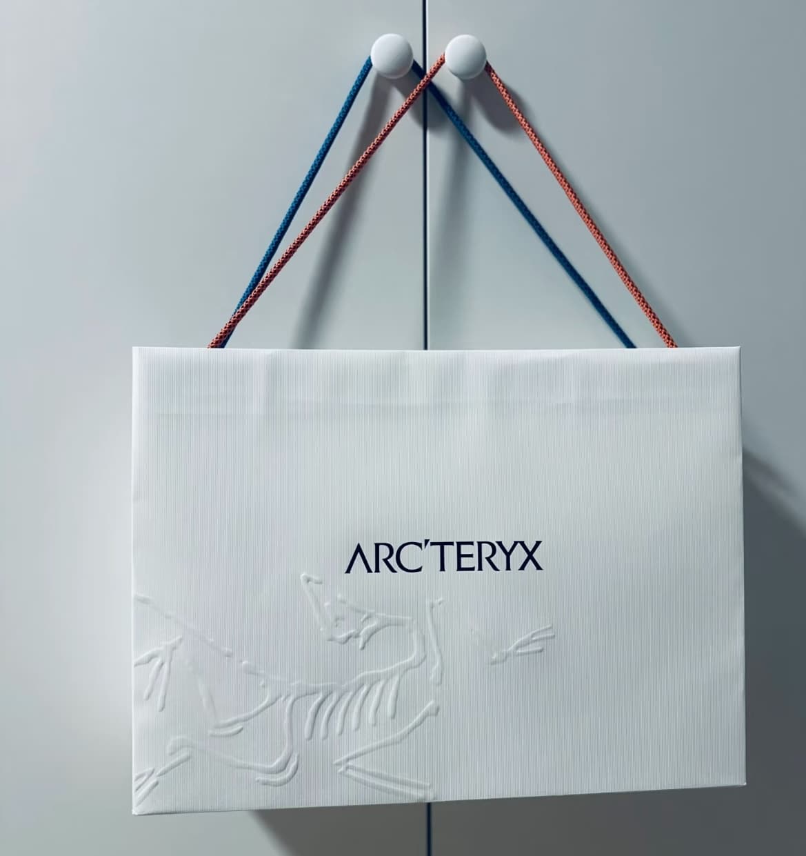 bag with embossed or debossed logos