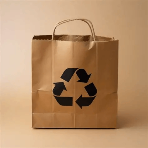 recycled paper bag