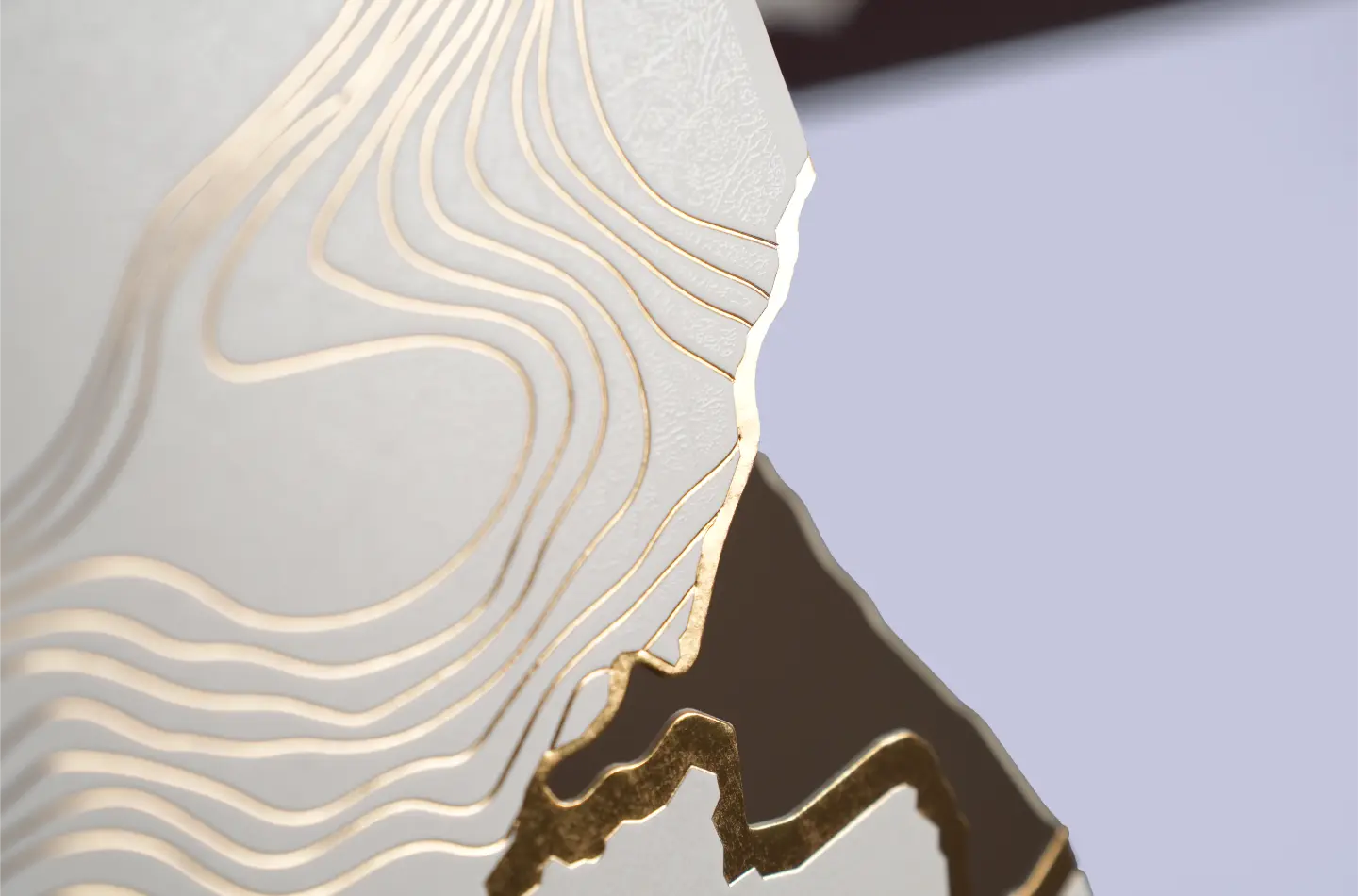 Macro shot highlighting the embossed pattern, hot red-gold foil finish, and precise window cut detail of the luxury tuck packaging