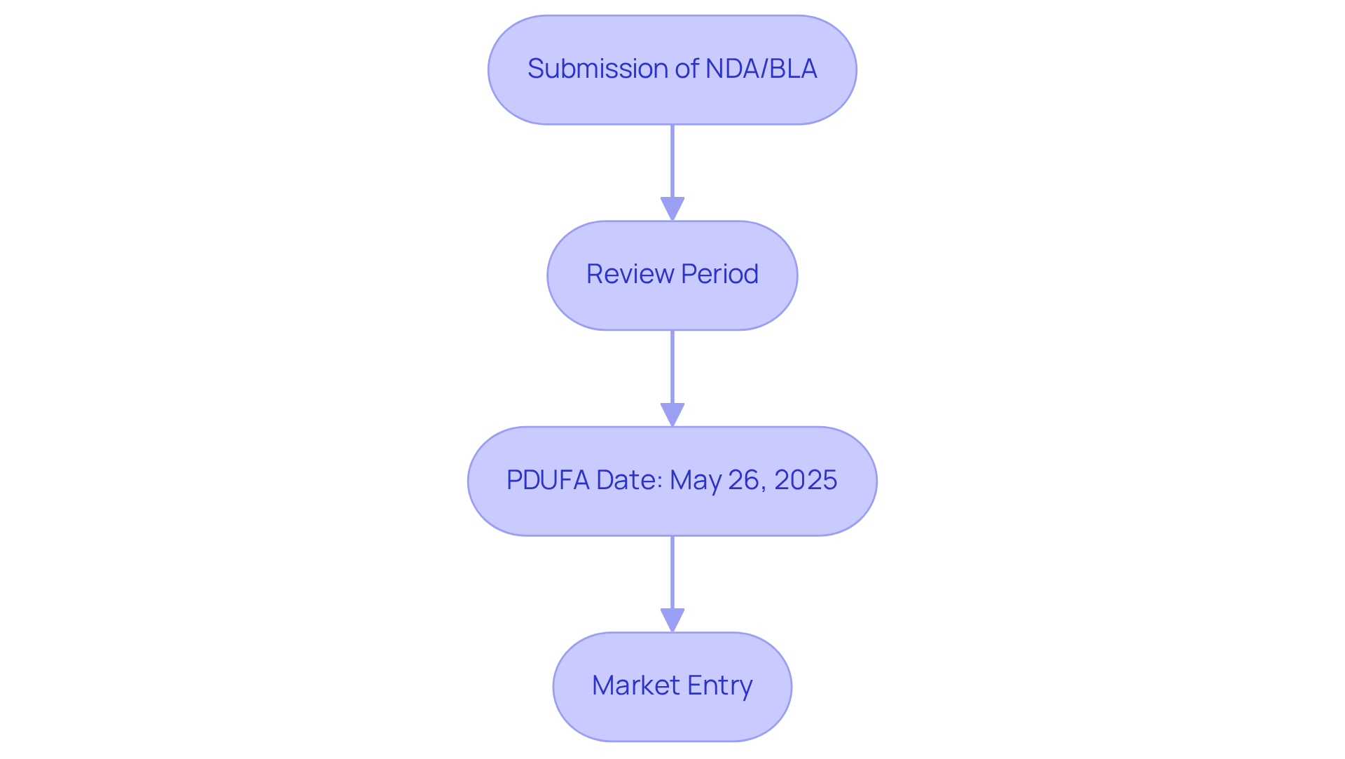 Each box represents a key step in the drug approval process. Follow the arrows to see how the stages connect, from submission to potential market entry, emphasizing the importance of deadlines.