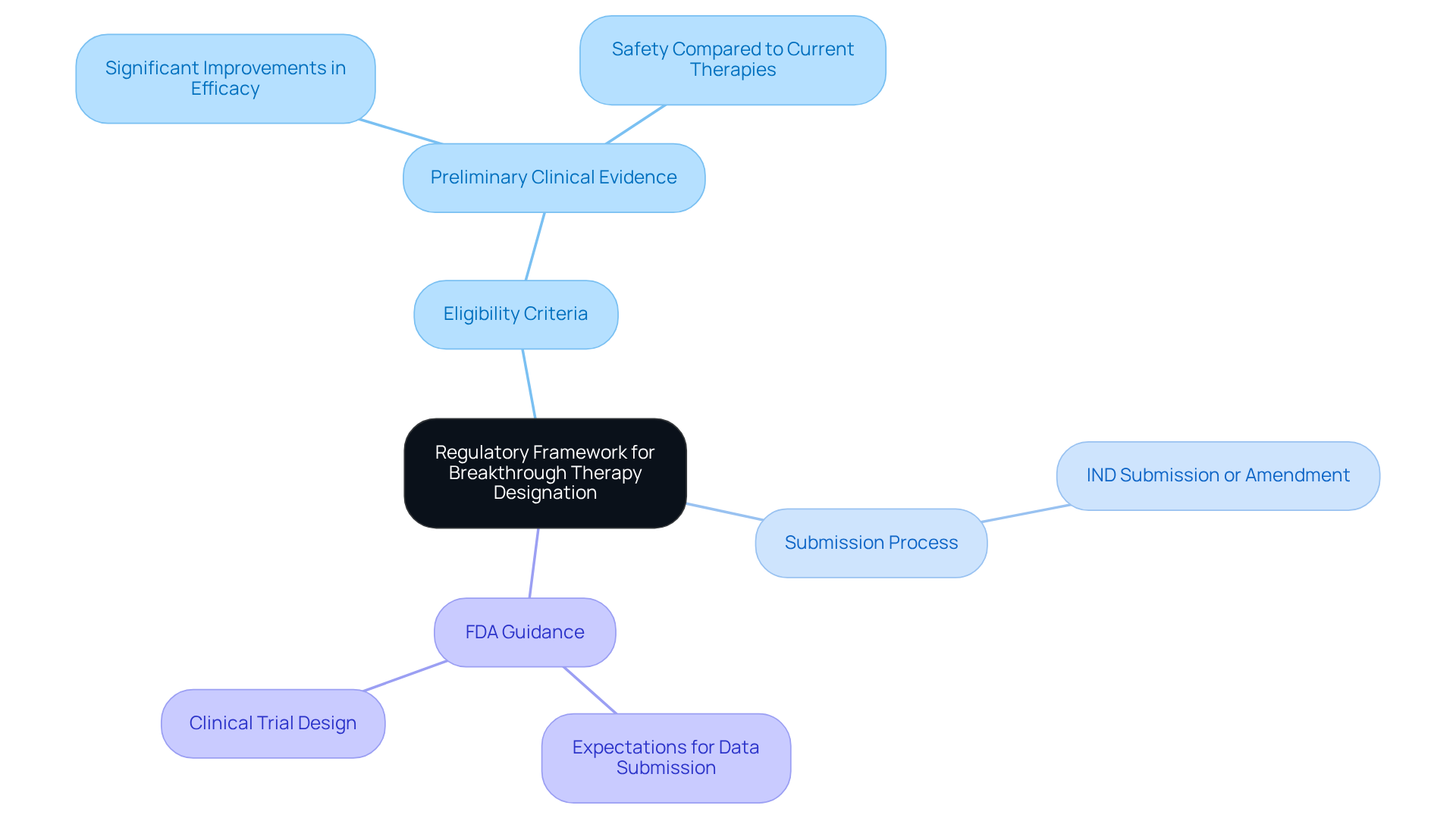 The center shows the main topic, and the branches represent key components of the regulatory framework. Each sub-branch provides detailed information about that component.