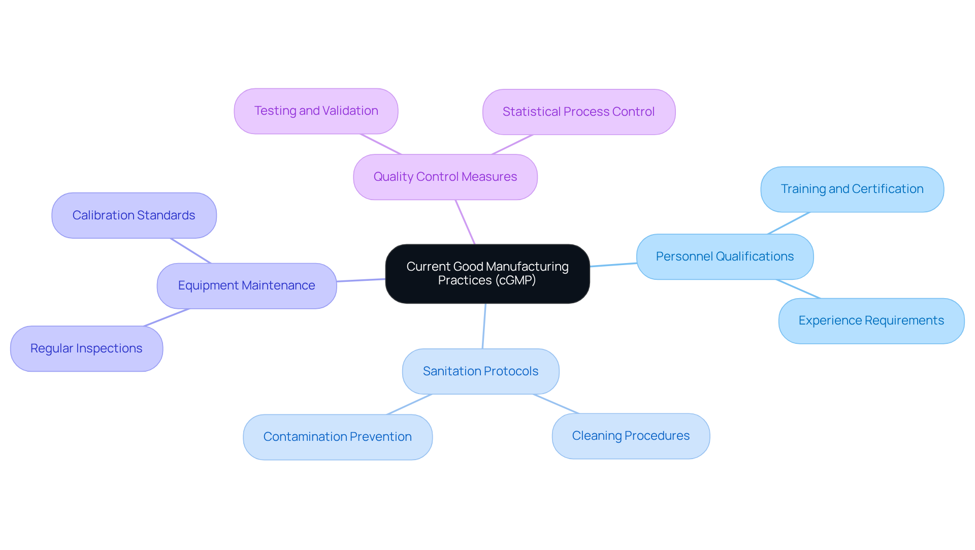 The central node represents cGMP, while the branches show key components that contribute to quality and safety in pharmaceutical manufacturing. Each branch highlights an essential area, emphasizing its role in upholding product integrity.