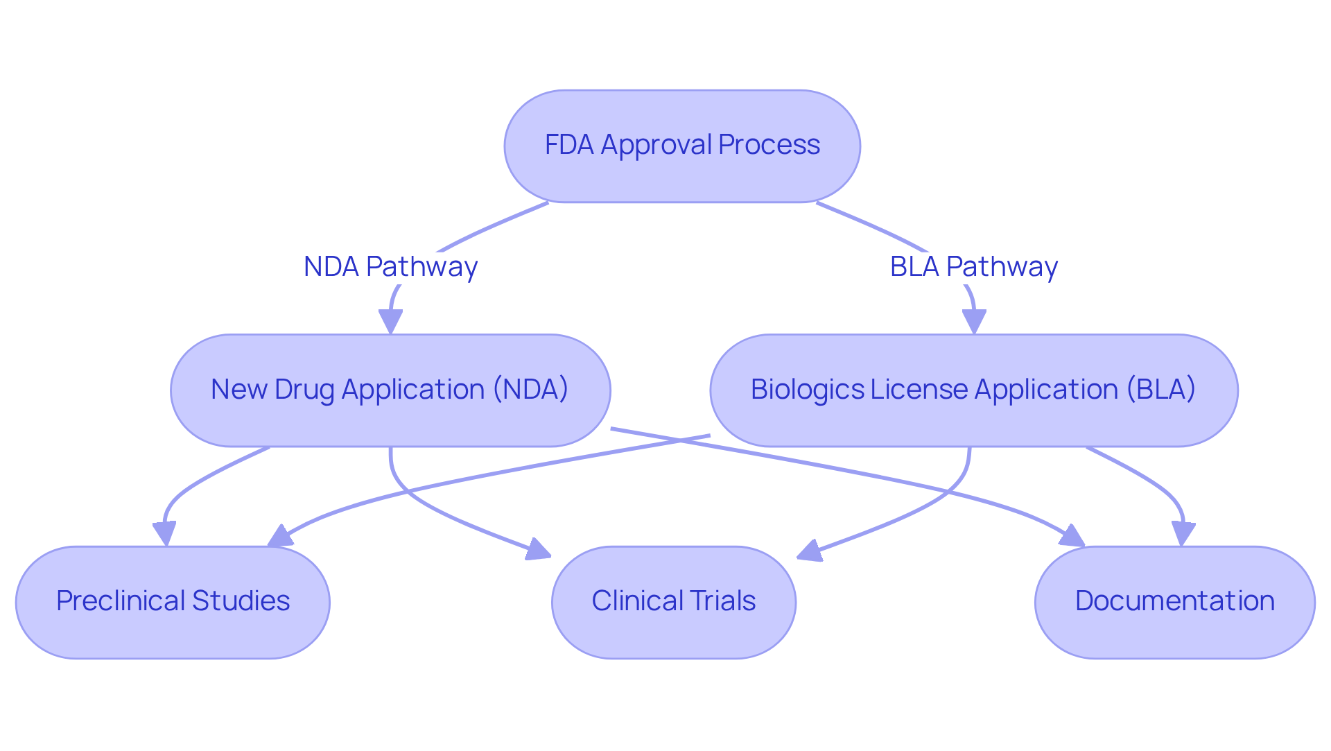 This flowchart maps out the steps involved in getting FDA approval for drugs and biologics. Each box represents a key stage in the process, and the arrows show how these stages connect.