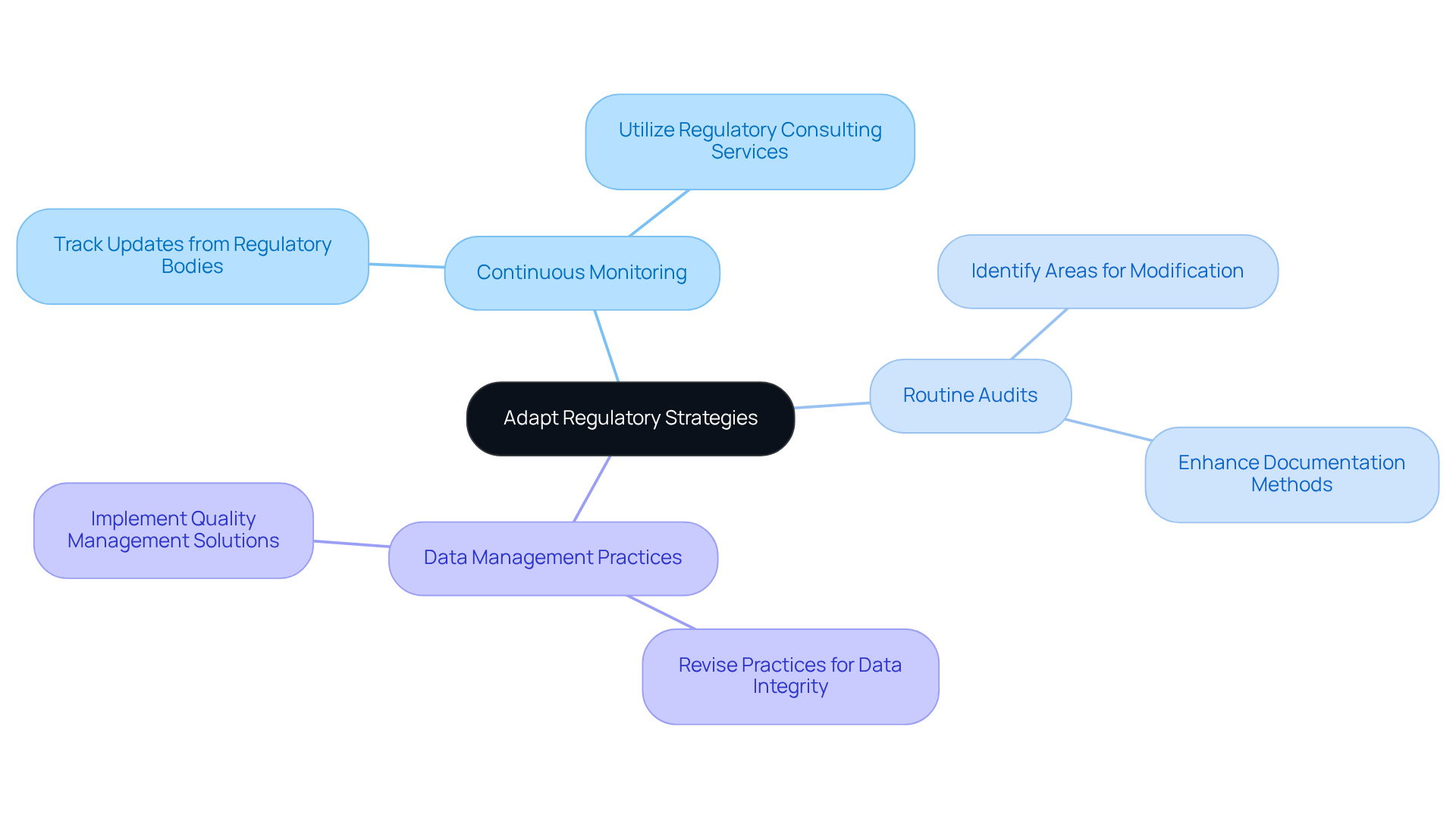 Start at the center with the main goal of adapting strategies. Follow the branches to explore key areas of focus and the actions needed in each area to stay compliant.