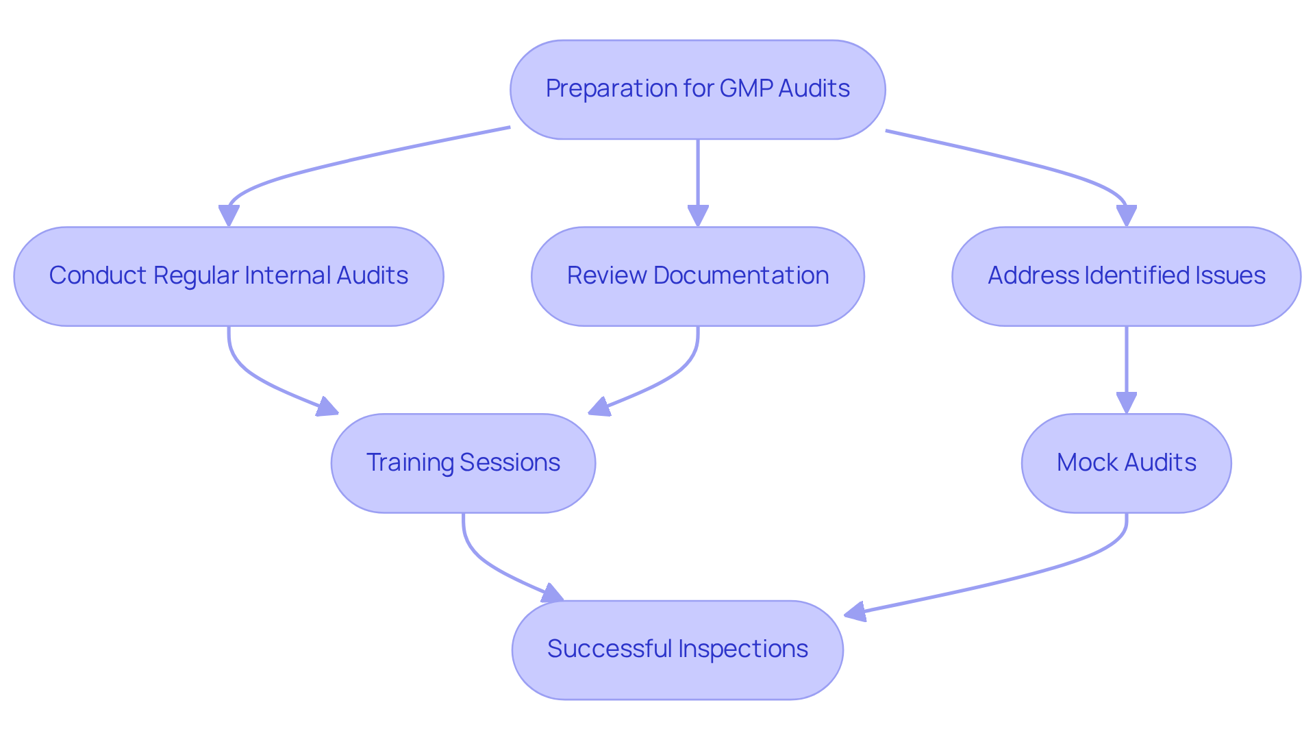 Follow the arrows to see the preparation steps for GMP audits. Each box represents an important action to ensure compliance. The flowchart shows how these steps connect and lead to successful inspections.
