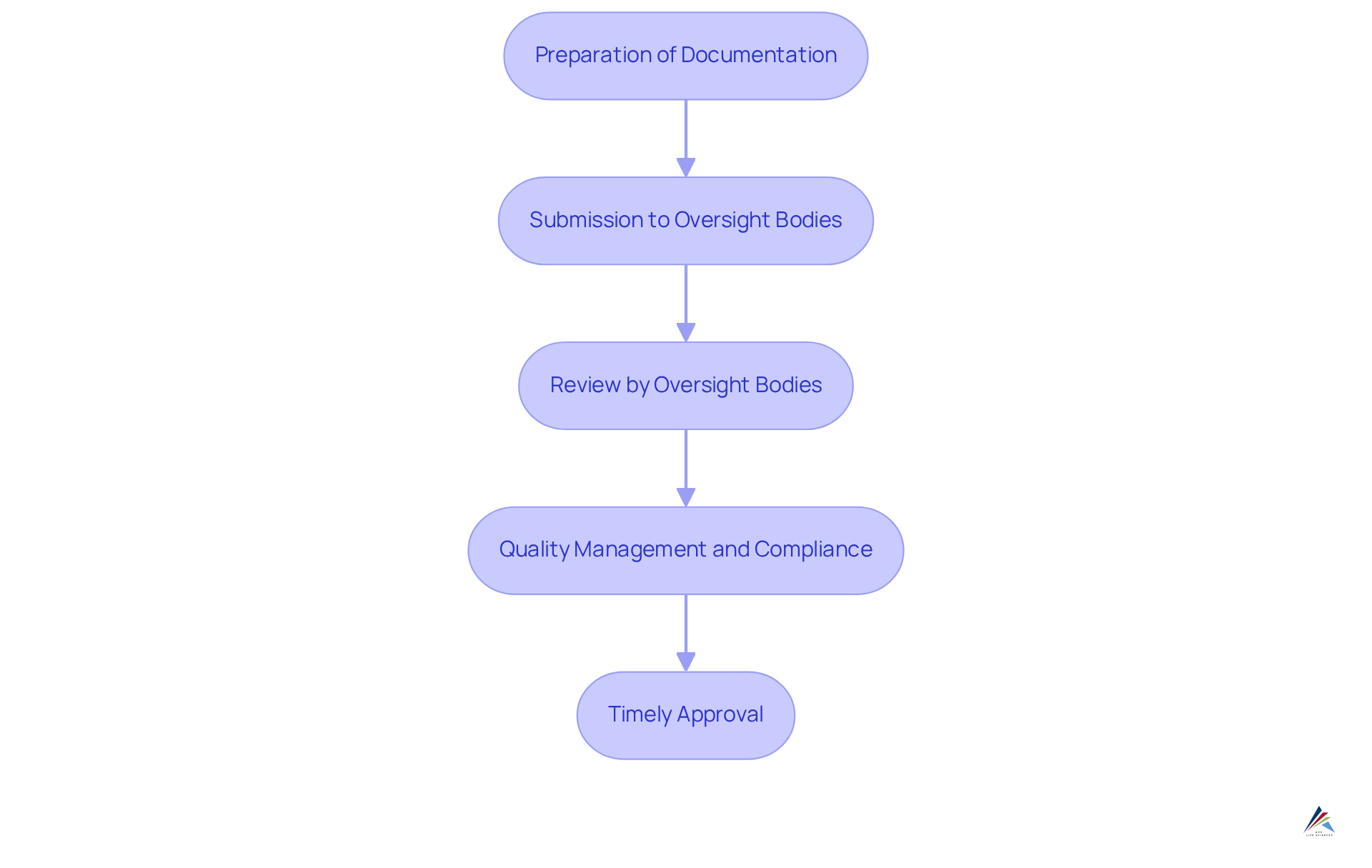 Each box represents a step in the regulatory approval journey — follow the arrows to understand how each stage leads to the next, ultimately resulting in successful product approval.