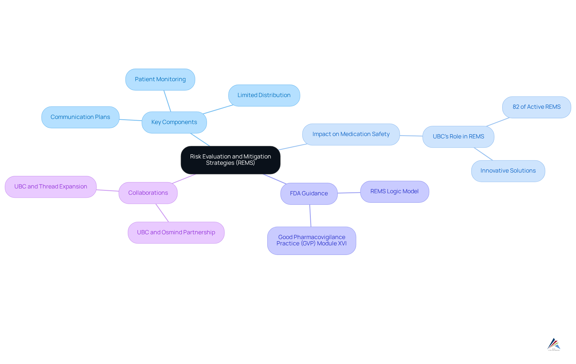 The central node represents REMS, with branches showing key components and their importance. Follow the branches to understand how each aspect contributes to drug safety and patient protection.