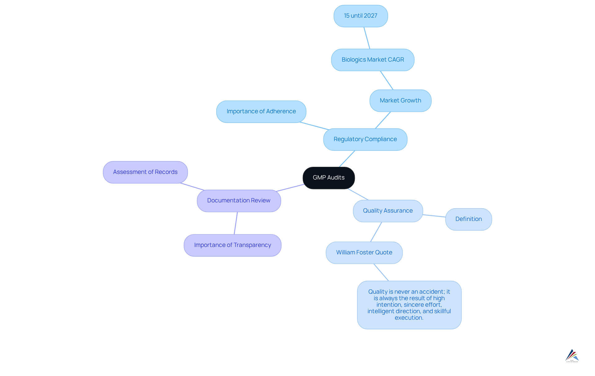 The central node represents GMP audits, and each branch shows a key component of the audit process. The sub-branches provide further details or quotes that support the main ideas.