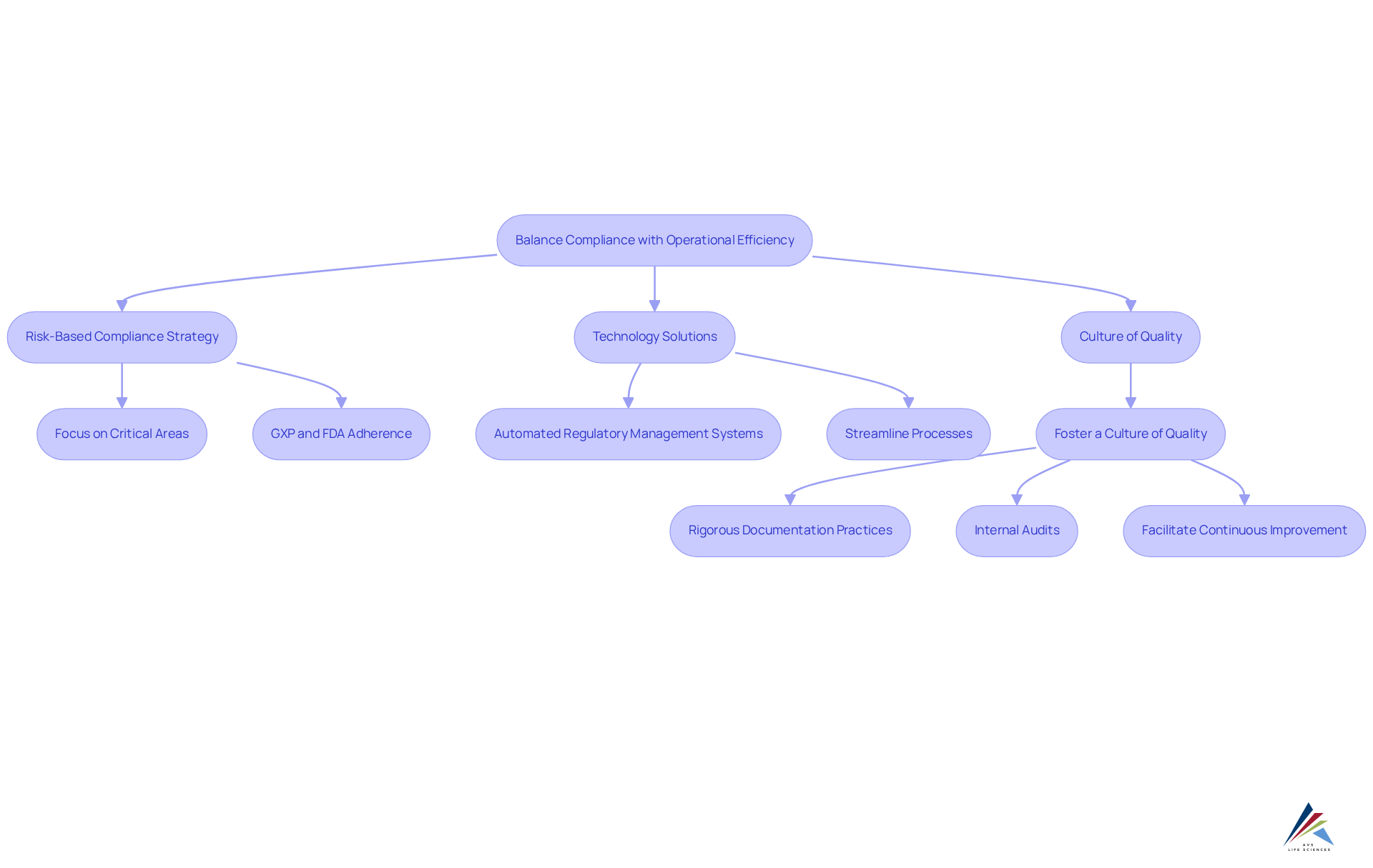 Follow the arrows to see how each strategy leads to specific actions. The flowchart helps visualize how compliance can enhance operational efficiency rather than hinder it.