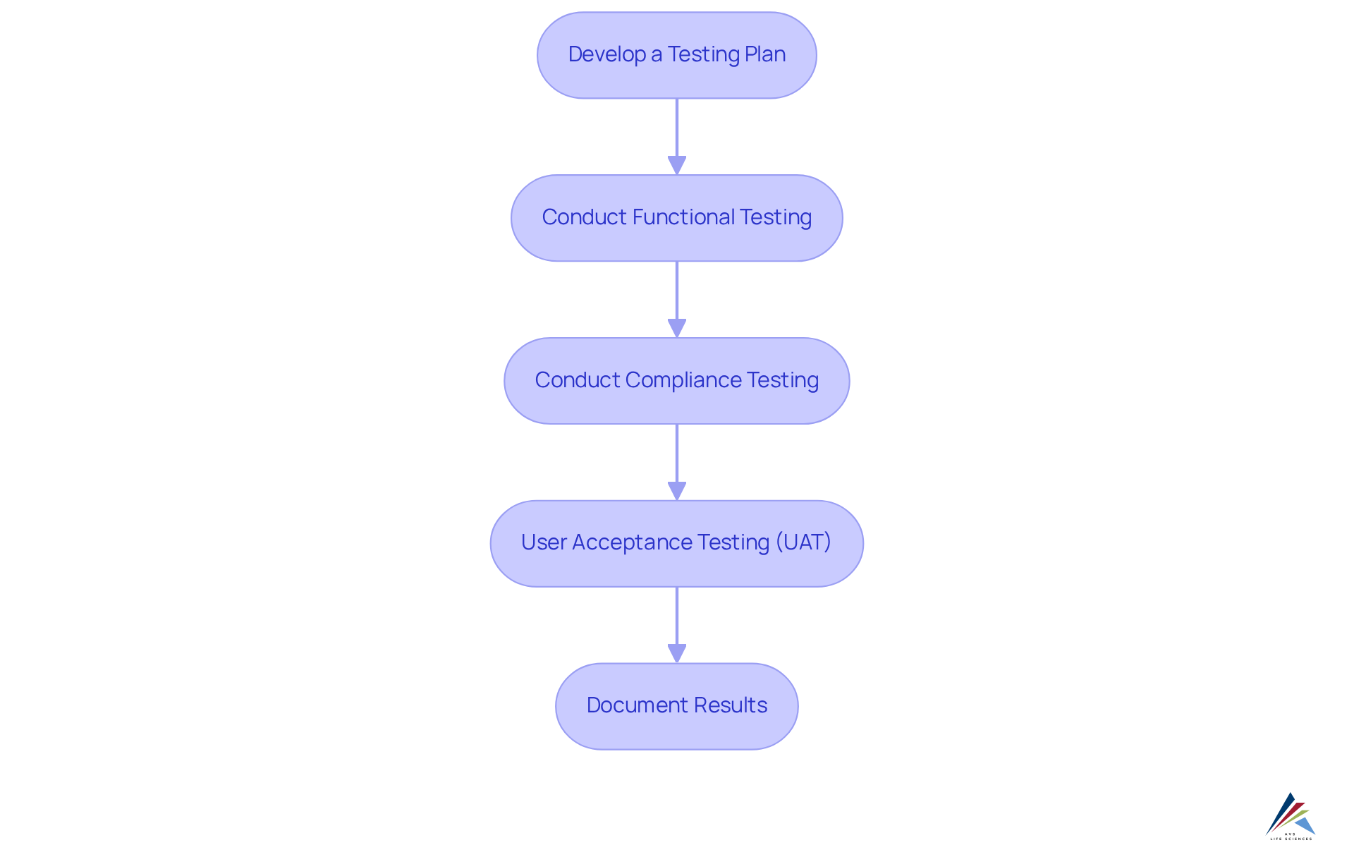 Each box represents a crucial step in the testing process. Follow the arrows to understand the sequence and how each step builds on the previous one.
