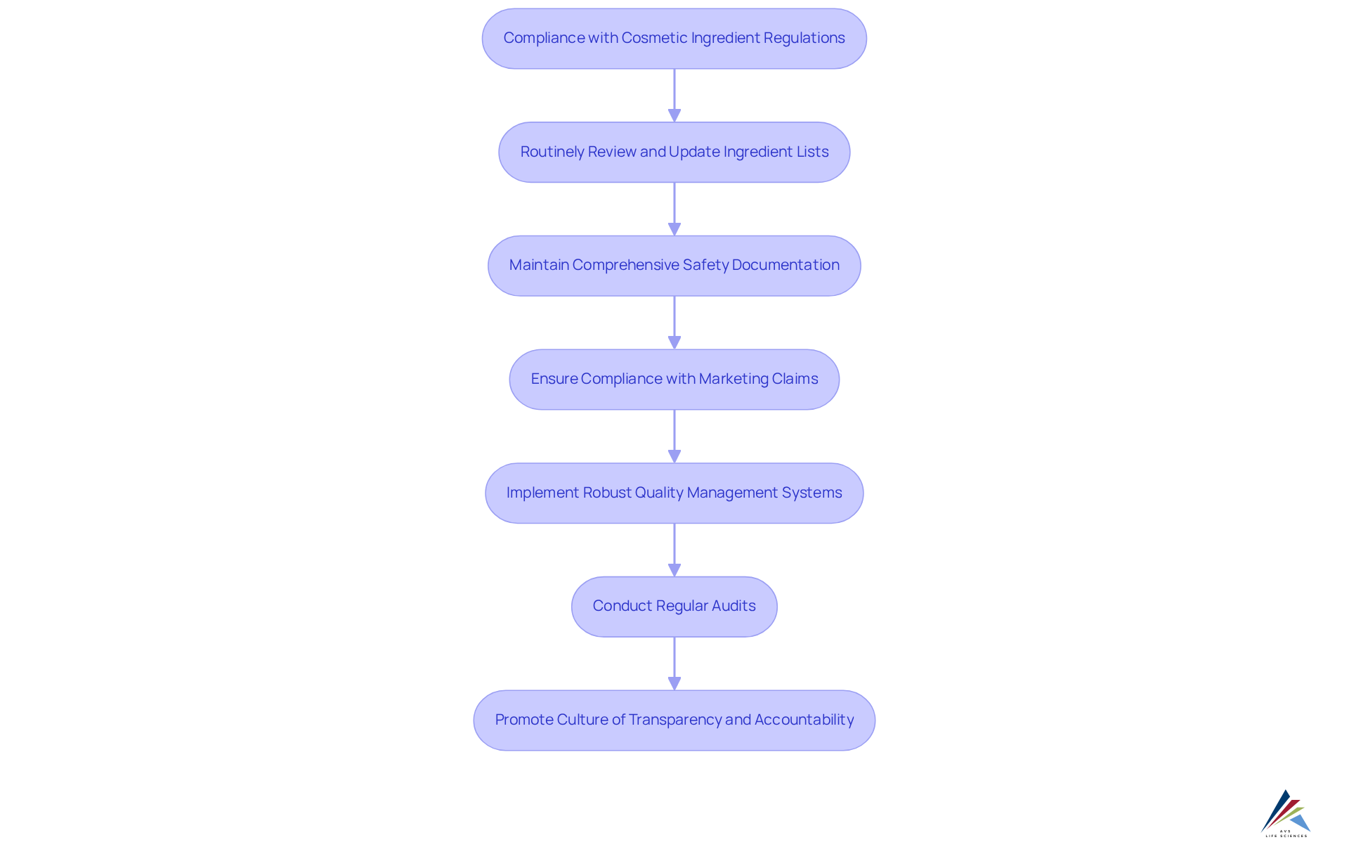 Each step outlines what companies need to do to comply with regulations; follow the arrows to see how each action connects to the overall goal of maintaining compliance.