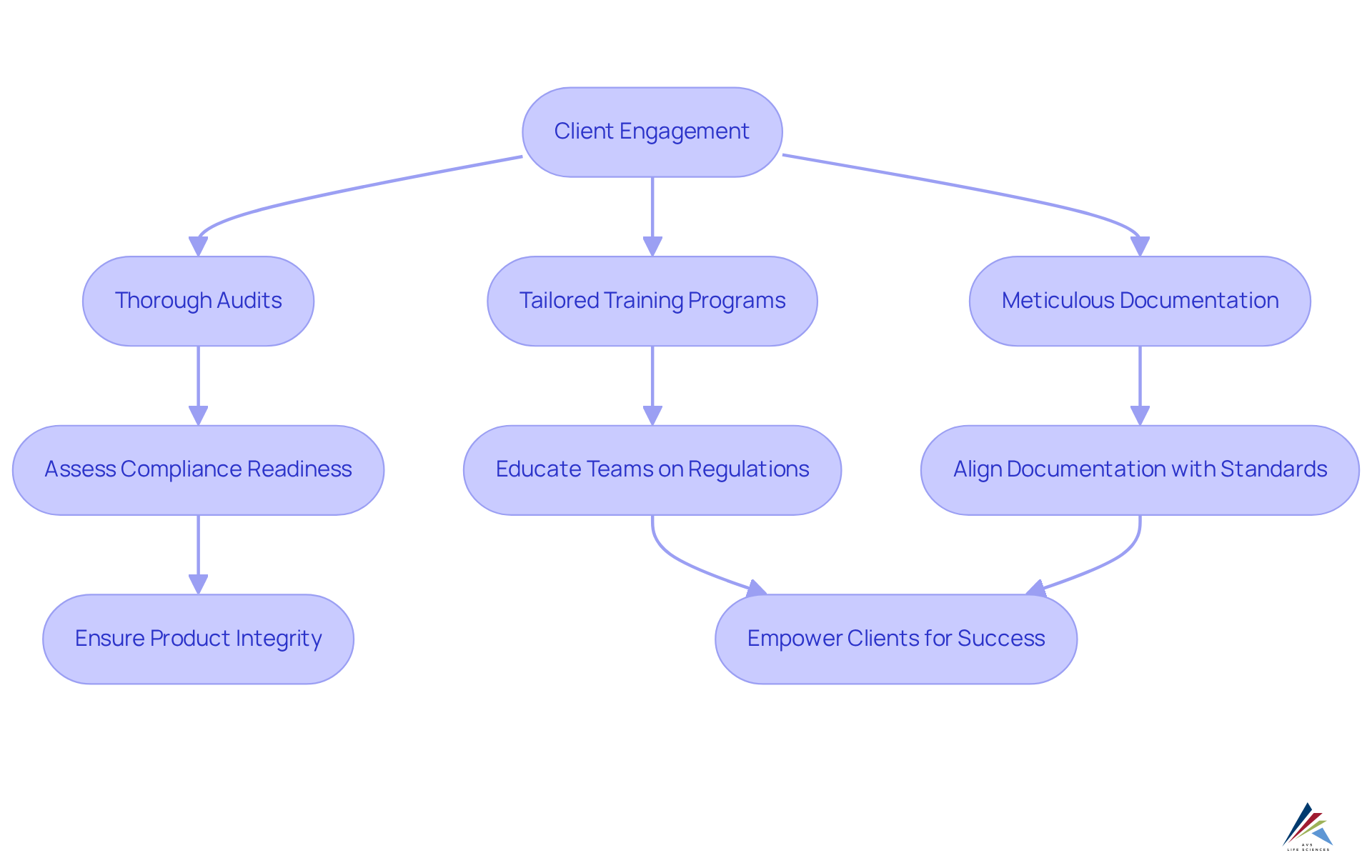Each step in the flowchart shows a key action AVS Life Sciences takes to help clients comply with regulations. Follow the arrows to see how each action leads to the next.