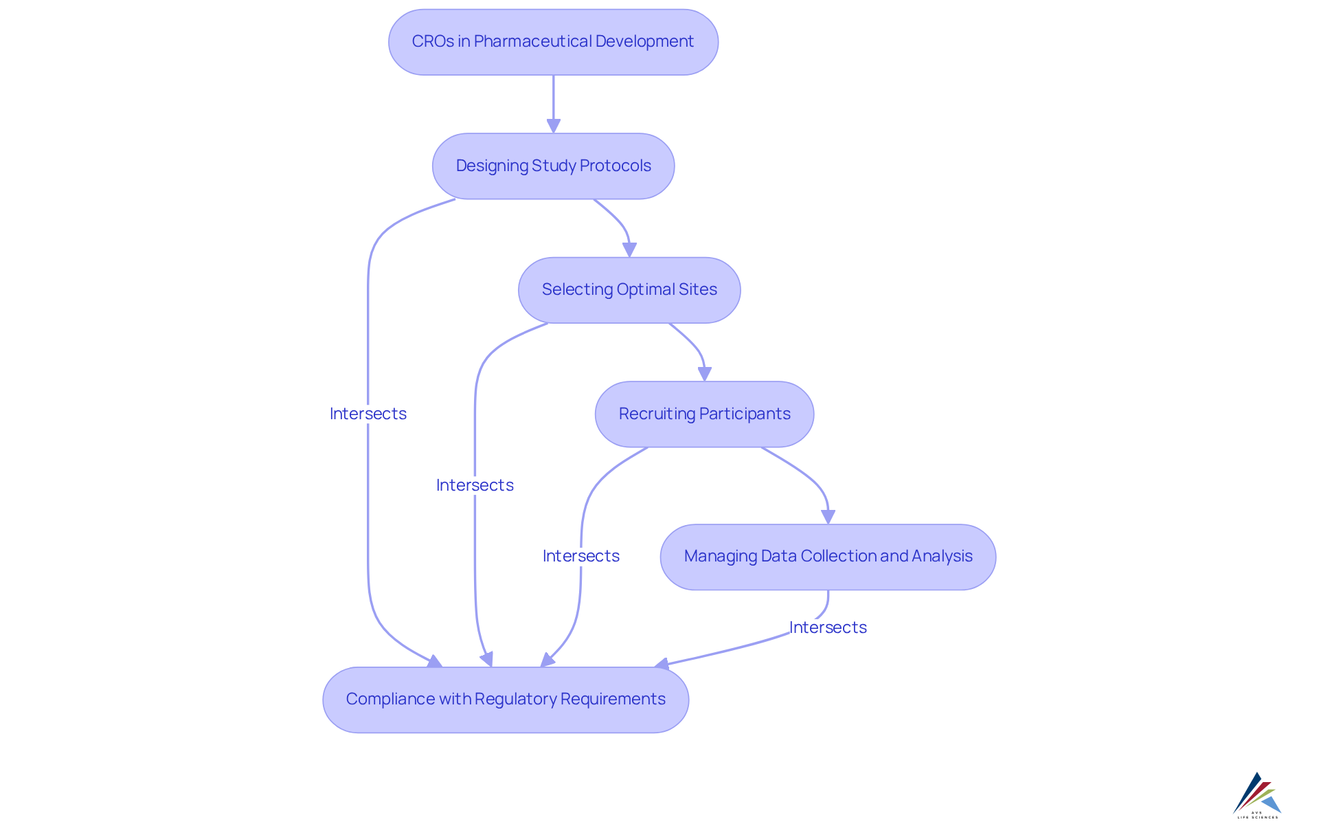 Each step in the flowchart represents a key function of CROs in clinical studies. Follow the arrows to see how these functions connect and contribute to successful drug development.