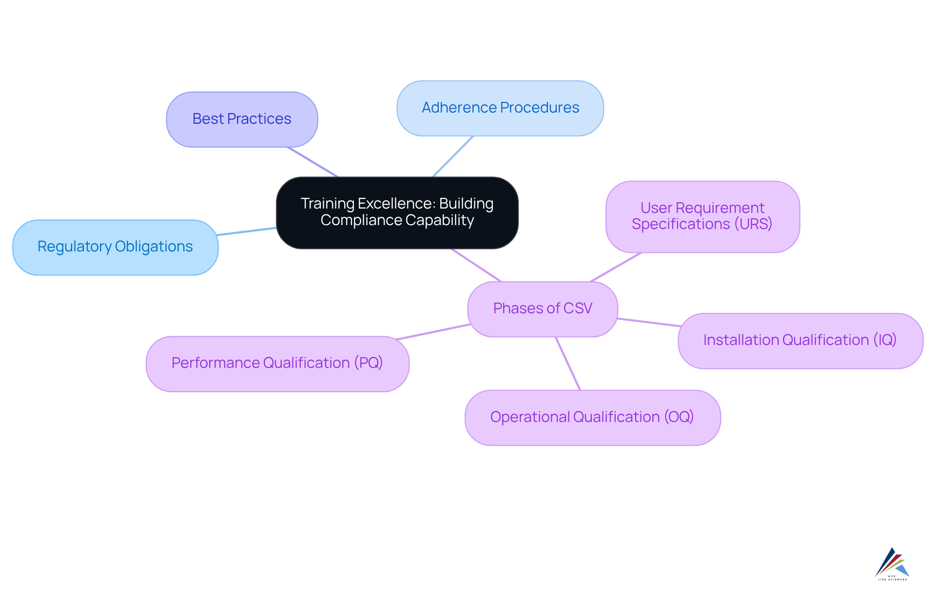 This mindmap illustrates how training excellence is built around various key areas. Each branch represents a critical component of the training program, demonstrating the importance of each in achieving compliance capability.
