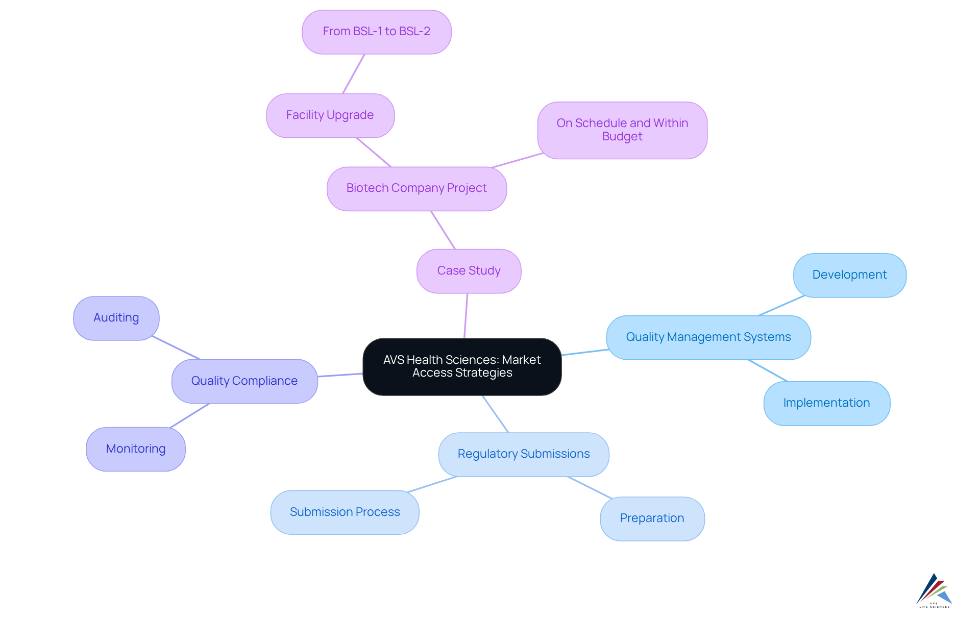 At the center is AVS's focus on market access strategies, with branches showing their key services. Under each service, you can find specific actions they take. The case study highlights a successful project, demonstrating their commitment to quality.