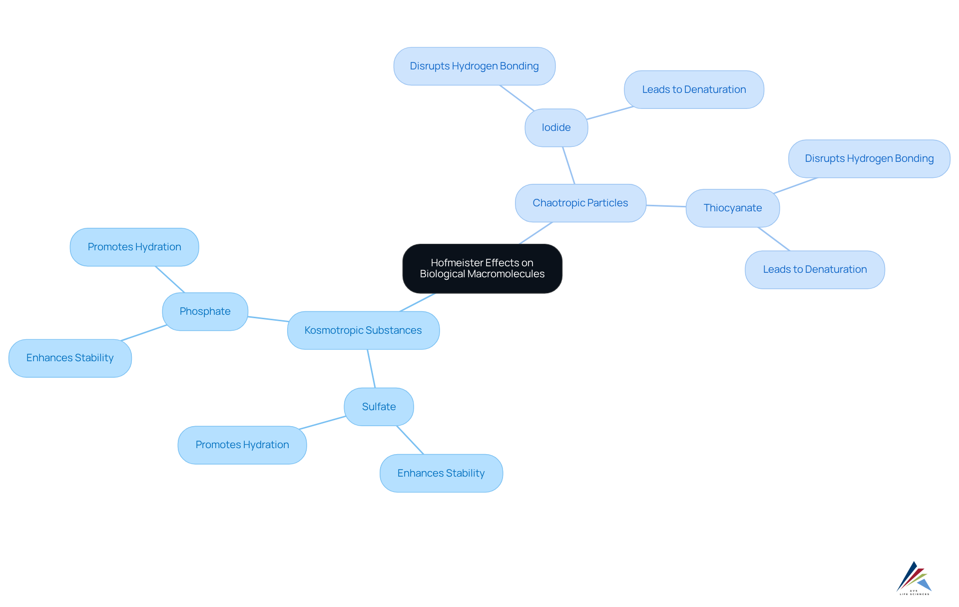 At the center is the Hofmeister concept; branches show different ions and their effects on stability and drug formulation. Kosmotropic ions help stabilize, while chaotropic ions can cause issues. Each color represents a different category for easy differentiation. At the center is the Hofmeister concept; branches show different ions and their effects on stability and drug formulation. Kosmotropic ions help stabilize, while chaotropic ions can cause issues. Each color represents a different category for easy differentiation.